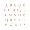 Thumbnail Image 3 of Name Disc Necklace 14K Rose Gold 18"