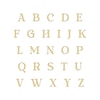 Thumbnail Image 3 of Name Disc Necklace 14K Yellow Gold 18"