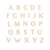 Thumbnail Image 3 of Diamond Accent Initial Sunburst Necklace 14K Rose Gold 18"