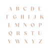 Thumbnail Image 3 of Initial Oval Disc Necklace 14K Rose Gold 18"