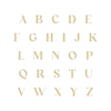 Thumbnail Image 3 of Initial Oval Disc Necklace 14K Yellow Gold 18"