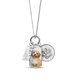Pet Photo, Name & Paw Print Necklace Sterling Silver 18"