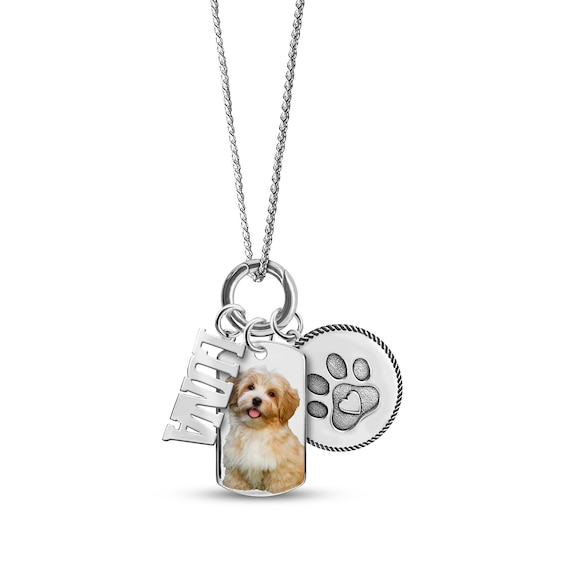 Pet Story Photo, Name & Paw Print Necklace Sterling Silver 18"