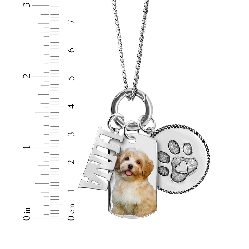 Main Image 2 of Pet Photo, Name & Paw Print Necklace Sterling Silver 18"