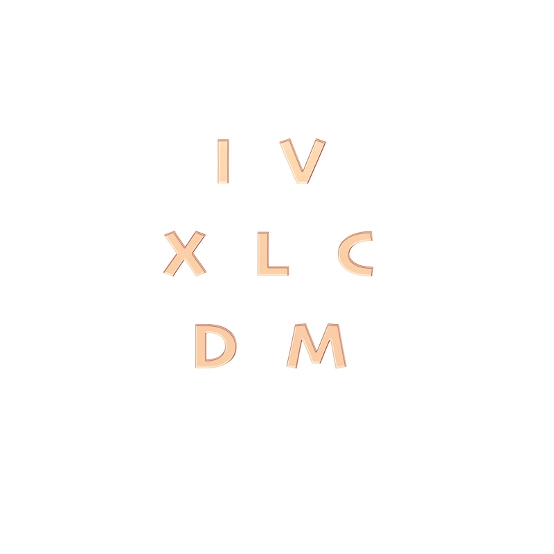 Main Image 4 of Roman Numeral Date Ring 14K Rose Gold