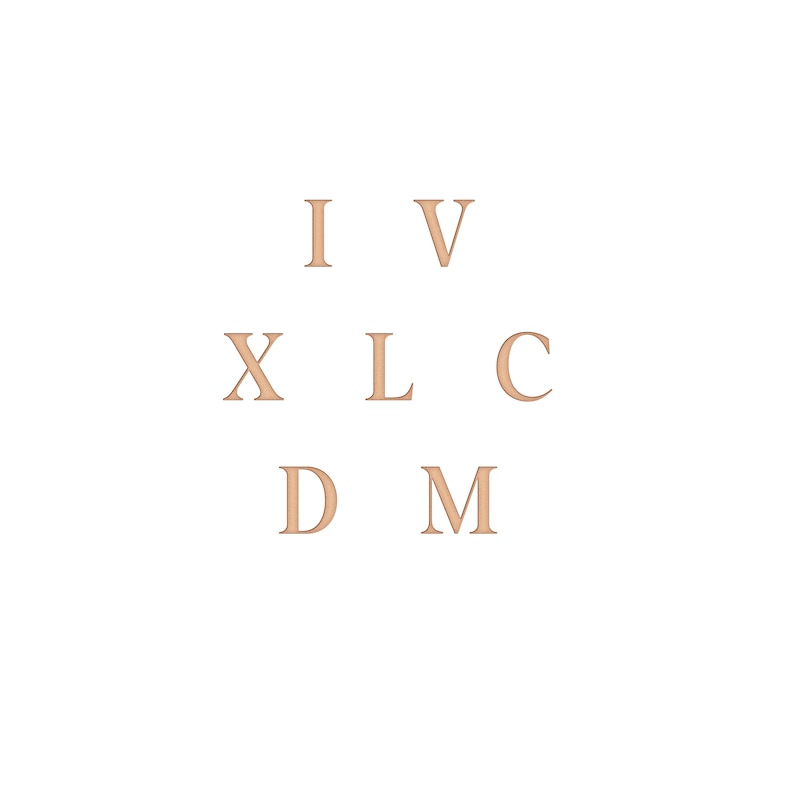 Main Image 4 of Diamond Accent Roman Numeral Date Ring 14K Rose Gold