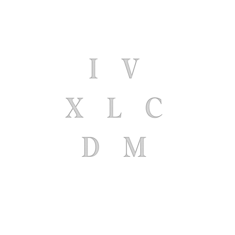 Main Image 4 of Diamond Accent Roman Numeral Date Ring 14K White Gold