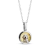 Thumbnail Image 1 of Pet Photo Small Disc Drop Necklace Sterling Silver 18"