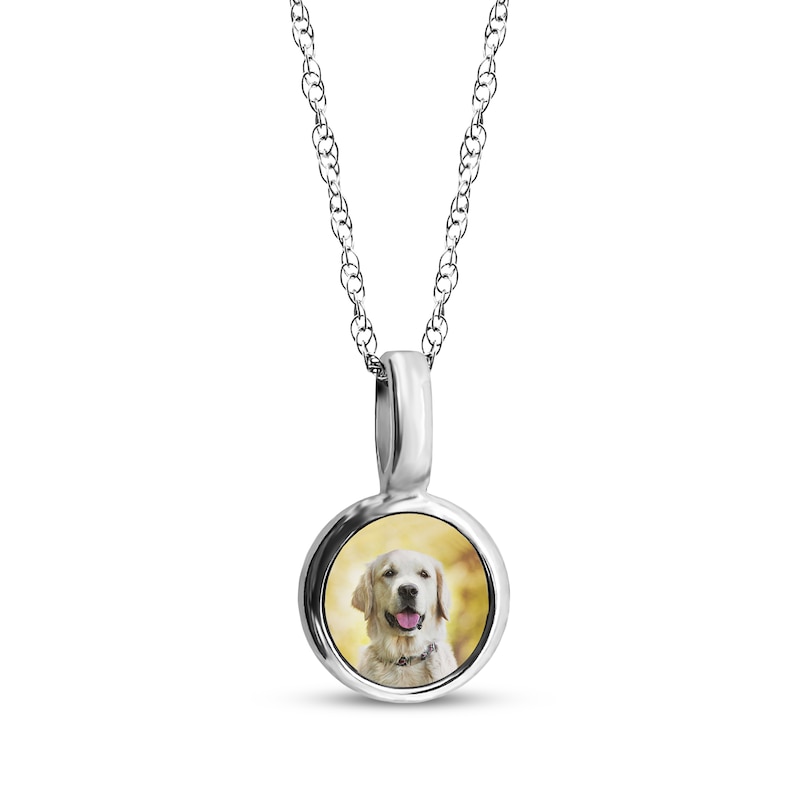 Main Image 1 of Pet Photo Small Disc Drop Necklace Sterling Silver 18"