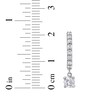 Thumbnail Image 4 of KAY Lab-Grown Diamonds Dangle Hoop Earrings 1 ct tw 10K White Gold