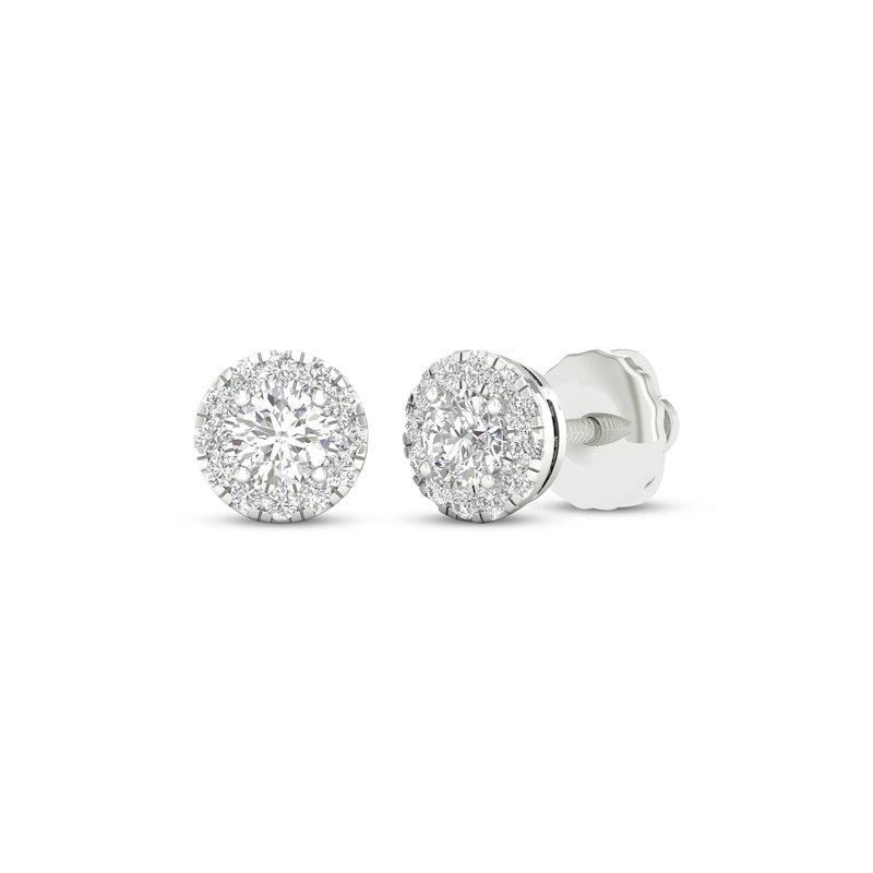 Main Image 1 of KAY Lab-Grown Diamonds Halo Stud Earrings 1/2 ct tw 14K White Gold (F/SI2)