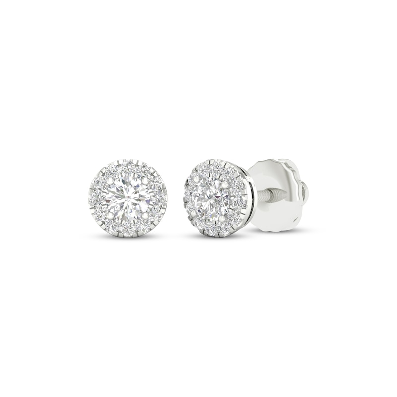 Lab-Created Diamonds by KAY Halo Stud Earrings 1/2 ct tw 14K White Gold (F/SI2)