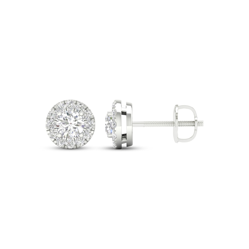 Lab-Created Diamonds by KAY Halo Stud Earrings 1/2 ct tw 14K White Gold ...