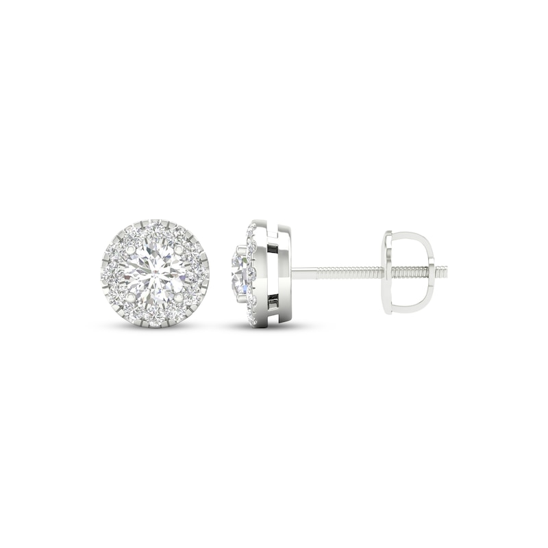 Main Image 3 of KAY Lab-Grown Diamonds Halo Stud Earrings 1/2 ct tw 14K White Gold (F/SI2)