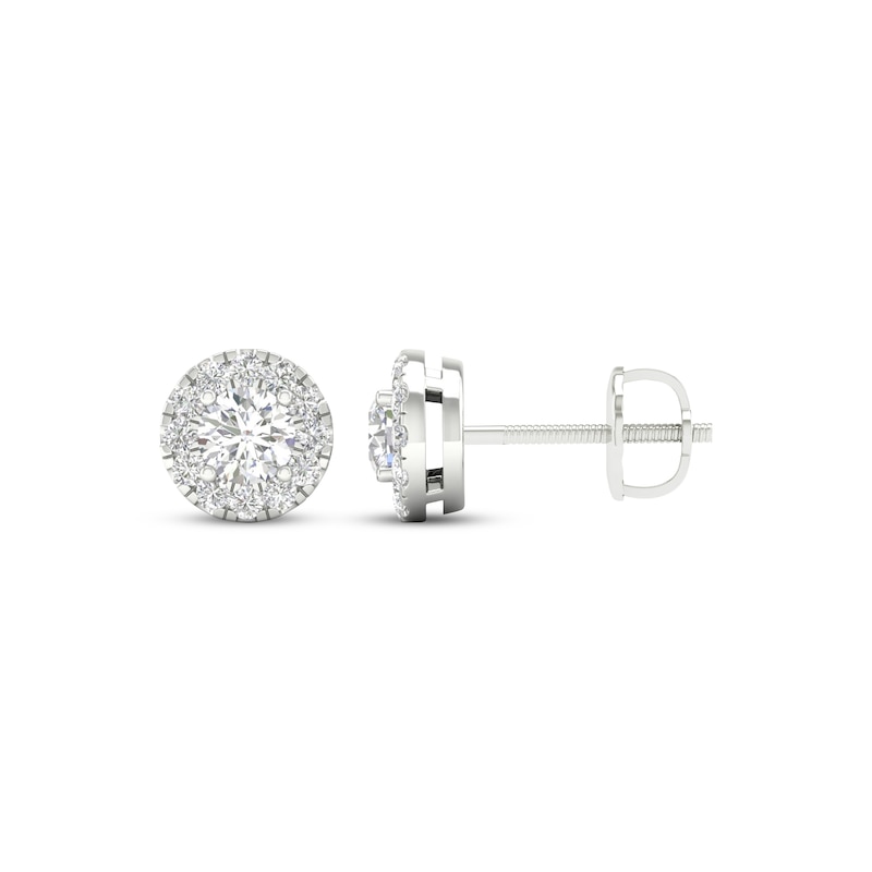 Lab-Created Diamonds by KAY Halo Stud Earrings 1/2 ct tw 14K White Gold (F/SI2)