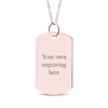 Thumbnail Image 2 of Diamond Accent Map Dog Tag Necklace 10K Rose Gold 18&quot;