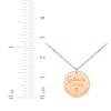Thumbnail Image 3 of Baby Stats Disc Diamond Accent Necklace 14K Rose Gold 18&quot;