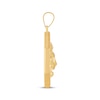 Thumbnail Image 2 of Men's Lion Head Medallion Charm 10K Yellow Gold