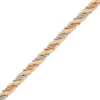 Thumbnail Image 2 of 4.5mm Silk Rope Chain Bracelet Semi-Solid 10K Tri-Tone Gold 7.5"