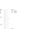 Thumbnail Image 4 of Previously Owned KAY Lab-Grown Diamonds Solitaire Stud Earrings 1/2 ct tw 14K White Gold (F/SI2)