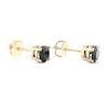 Thumbnail Image 3 of Round-cut Black Diamond Solitaire Stud Earrings 1 ct tw 10K Yellow Gold