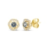 Thumbnail Image 1 of American Blue Sapphire & Diamond Flower Halo Stud Earrings 1/10 ct tw 10K Yellow Gold